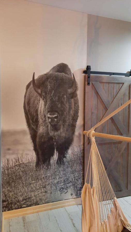 Zagroda W Puszczy Białowieża Eksteriør billede