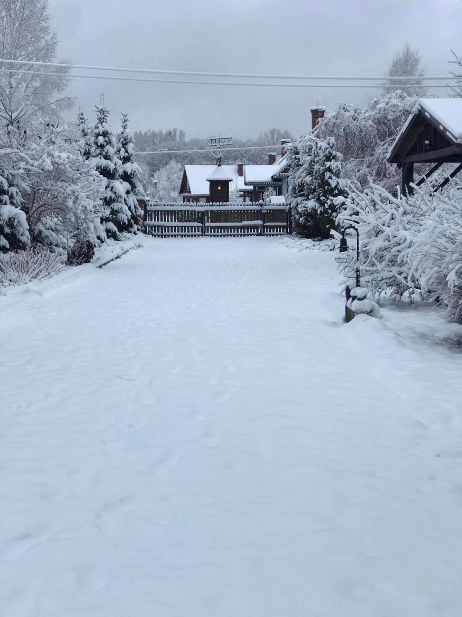 Zagroda W Puszczy Białowieża Eksteriør billede